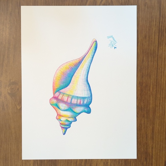 Other - Original Artwork-Vibrant Conch Shell Art-Hand Drawn By Holly Pennell-9x12